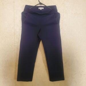 LOFT Navy Straight Leg Pants